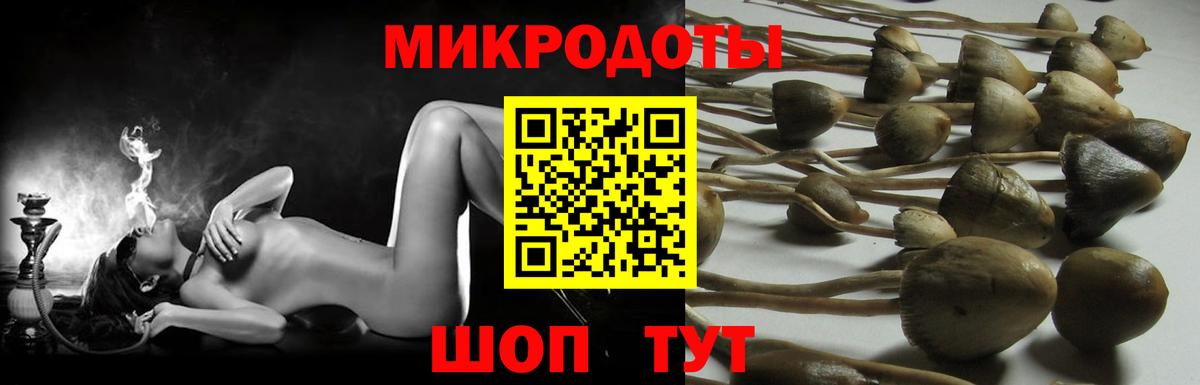Галлюциногенные грибы GOLDEN TEACHER  Псилоцибиновые грибы мицелий  Вход с VPN  Екатеринбург 